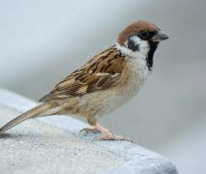 Screen Shot 2016-01-19 at 20.58.04